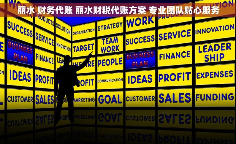 丽水 财务代账 丽水财税代账方案 专业团队贴心服务