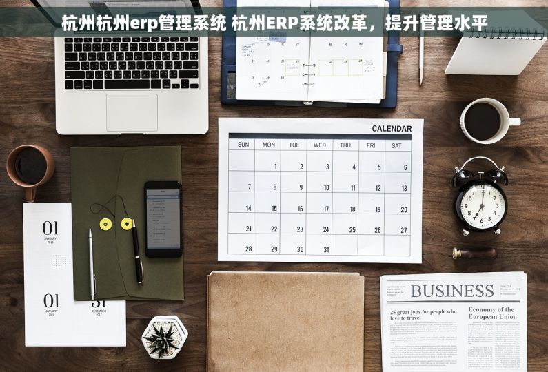 杭州杭州erp管理系统 杭州ERP系统改革，提升管理水平