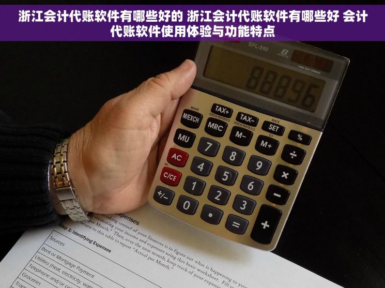 浙江会计代账软件有哪些好的 浙江会计代账软件有哪些好 会计代账软件使用体验与功能特点