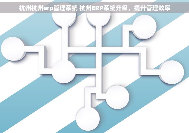 杭州杭州erp管理系统 杭州ERP系统升级，提升管理效率