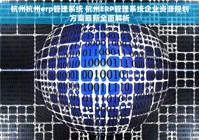 杭州杭州erp管理系统 杭州ERP管理系统企业资源规划方案最新全面解析