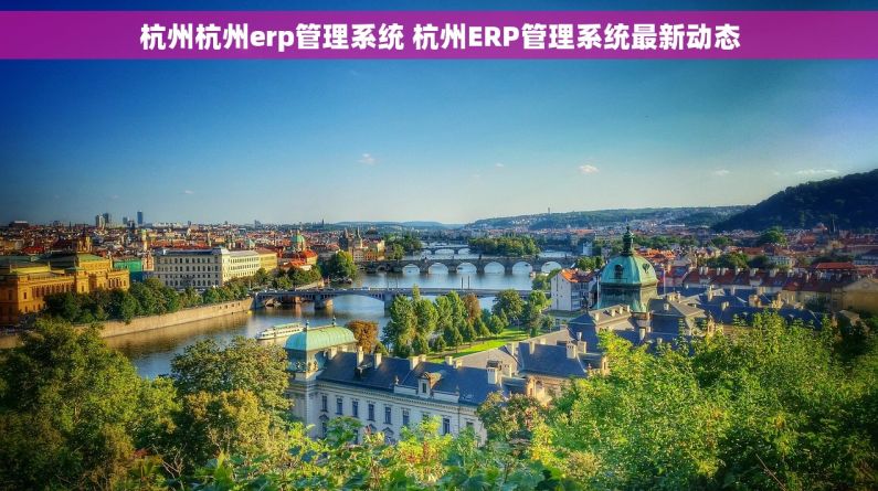 杭州杭州erp管理系统 杭州ERP管理系统最新动态