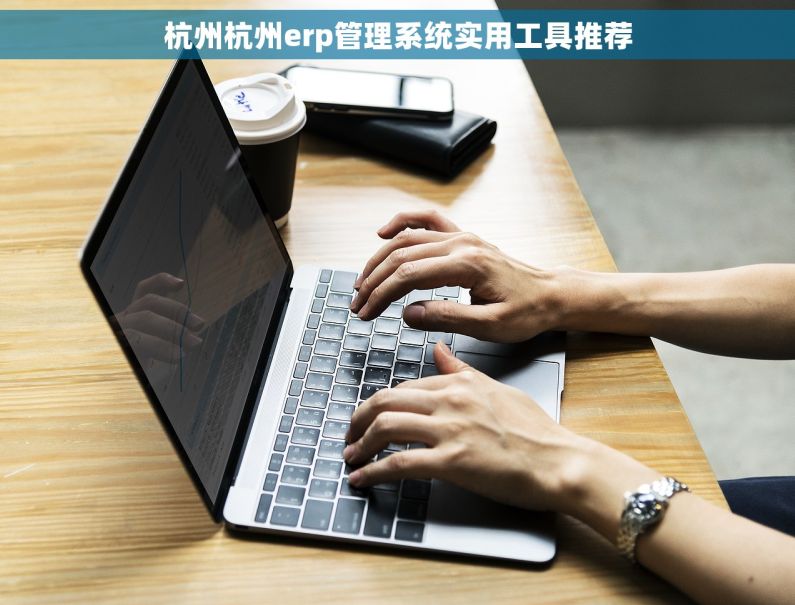 杭州杭州erp管理系统实用工具推荐