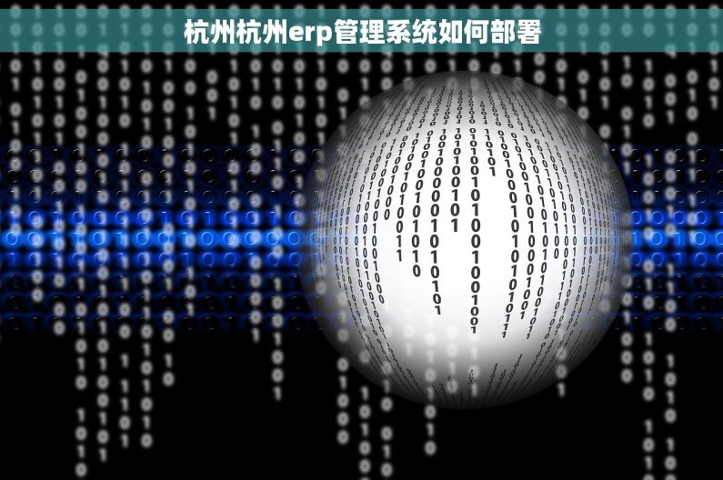 杭州杭州erp管理系统如何部署