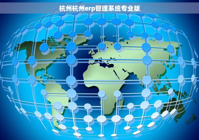 杭州杭州erp管理系统专业版