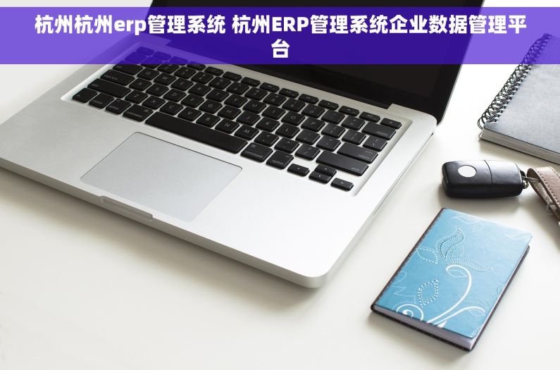 杭州杭州erp管理系统 杭州ERP管理系统企业数据管理平台