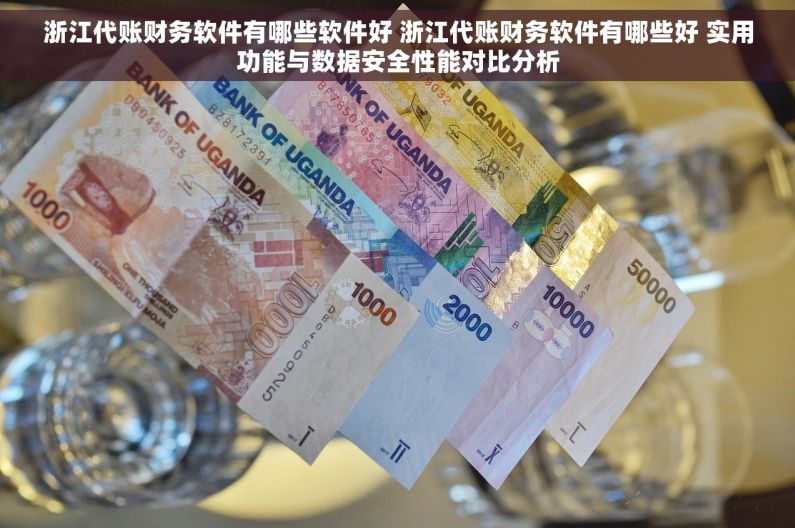 浙江代账财务软件有哪些软件好 浙江代账财务软件有哪些好 实用功能与数据安全性能对比分析