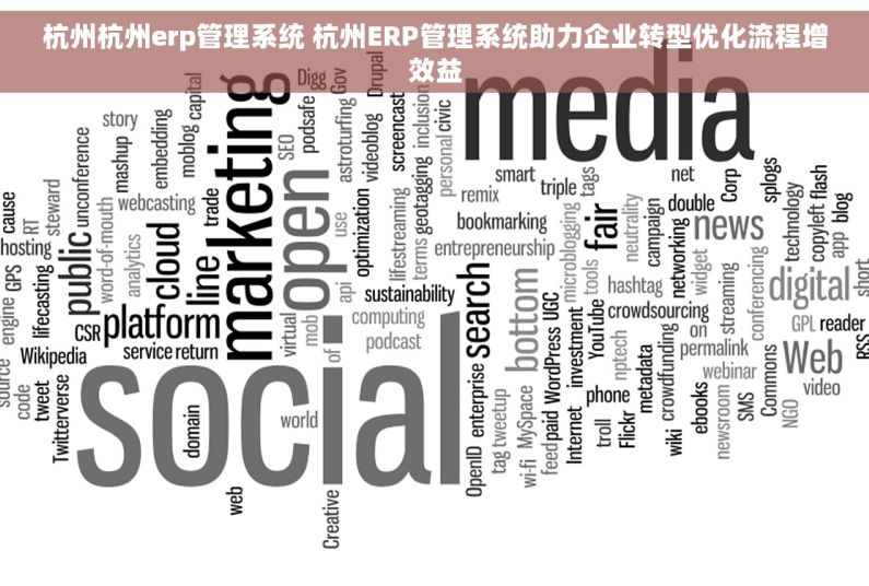杭州杭州erp管理系统 杭州ERP管理系统助力企业转型优化流程增效益