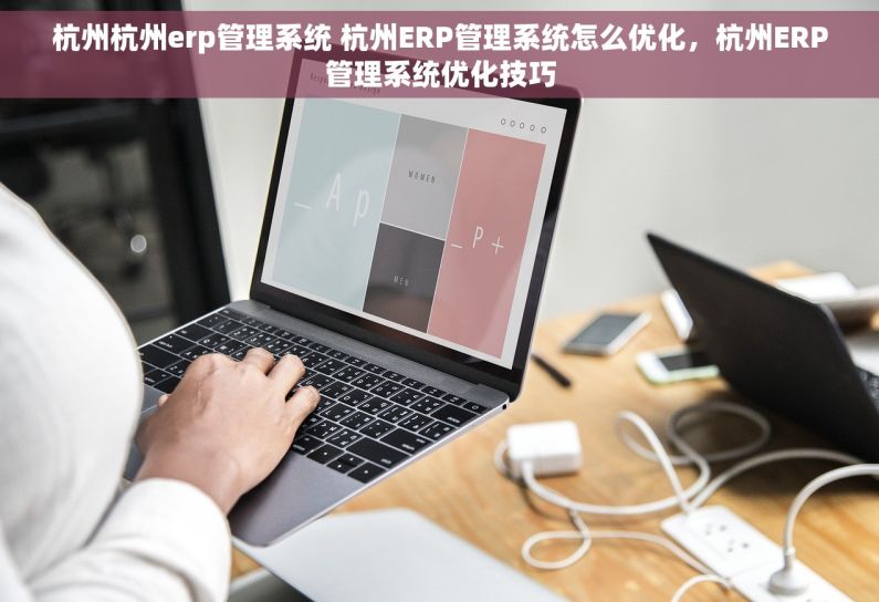 杭州杭州erp管理系统 杭州ERP管理系统怎么优化，杭州ERP管理系统优化技巧