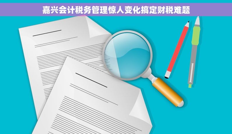 嘉兴会计税务管理惊人变化搞定财税难题