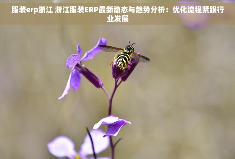 服装erp浙江 浙江服装ERP最新动态与趋势分析：优化流程紧跟行业发展