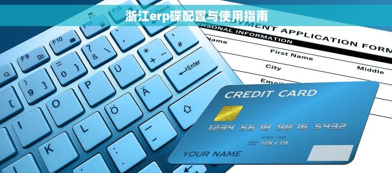 浙江erp碟配置与使用指南