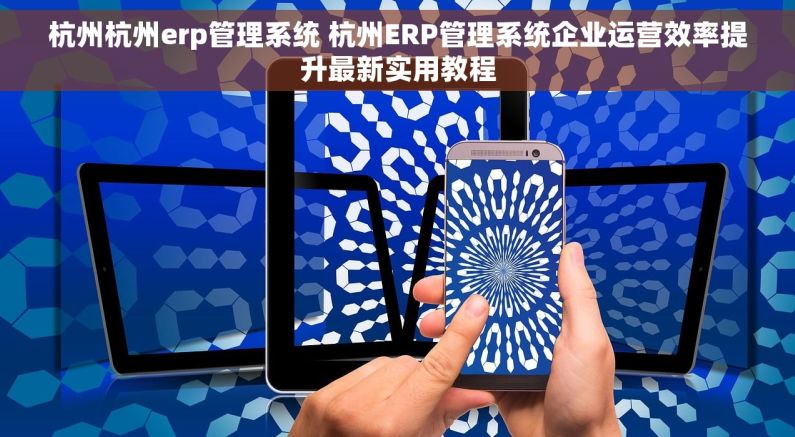 杭州杭州erp管理系统 杭州ERP管理系统企业运营效率提升最新实用教程