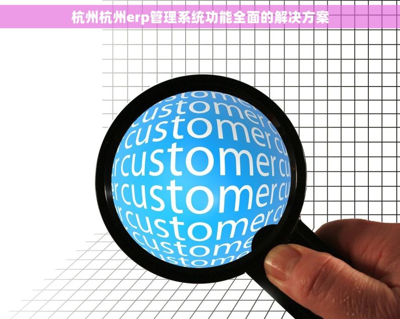 杭州杭州erp管理系统功能全面的解决方案