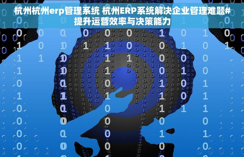 杭州杭州erp管理系统 杭州ERP系统解决企业管理难题#提升运营效率与决策能力