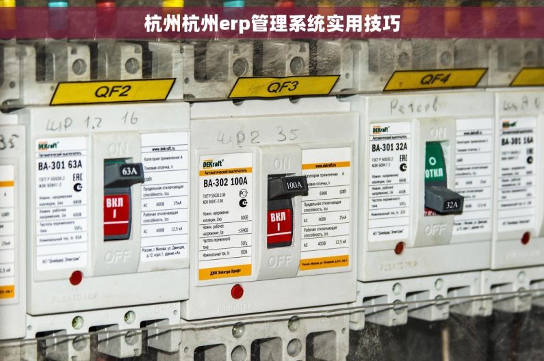 杭州杭州erp管理系统实用技巧