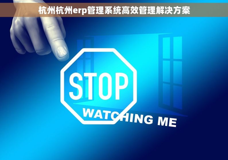杭州杭州erp管理系统高效管理解决方案