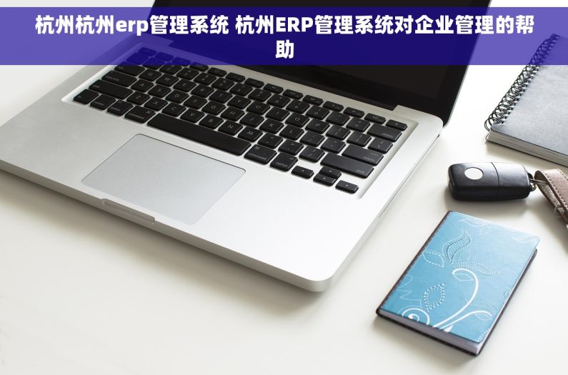 杭州杭州erp管理系统 杭州ERP管理系统对企业管理的帮助