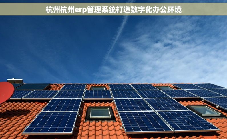 杭州杭州erp管理系统打造数字化办公环境
