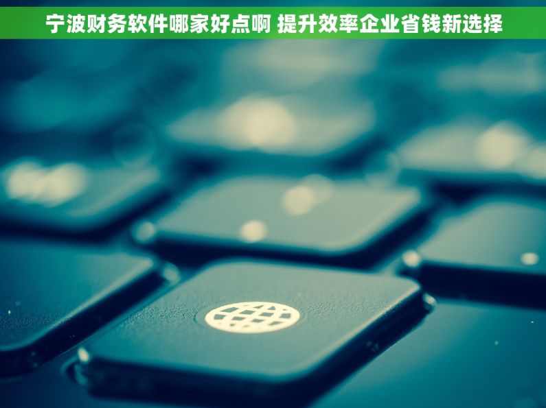 宁波财务软件哪家好点啊 提升效率企业省钱新选择