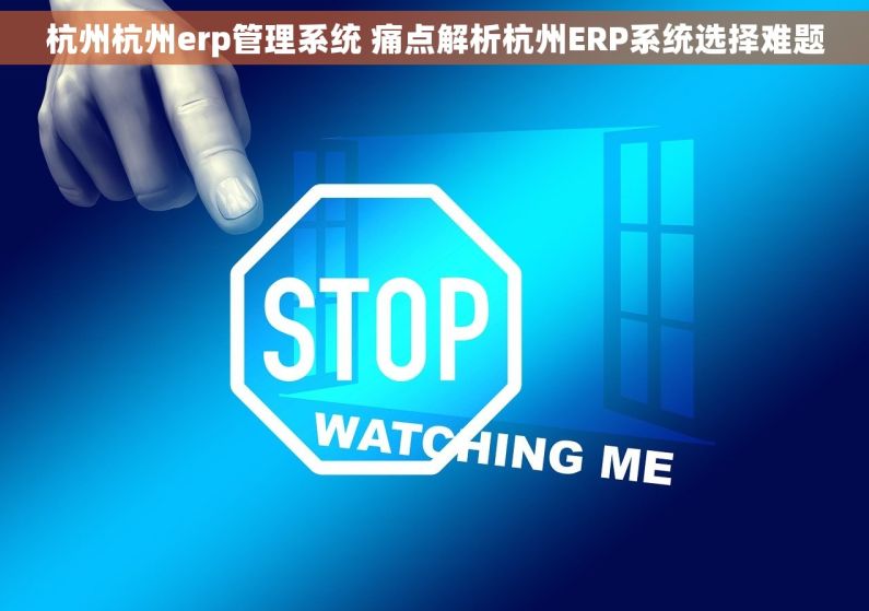 杭州杭州erp管理系统 痛点解析杭州ERP系统选择难题