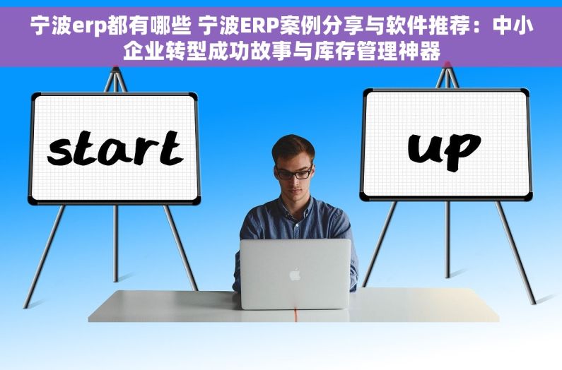 宁波erp都有哪些 宁波ERP案例分享与软件推荐：中小企业转型成功故事与库存管理神器