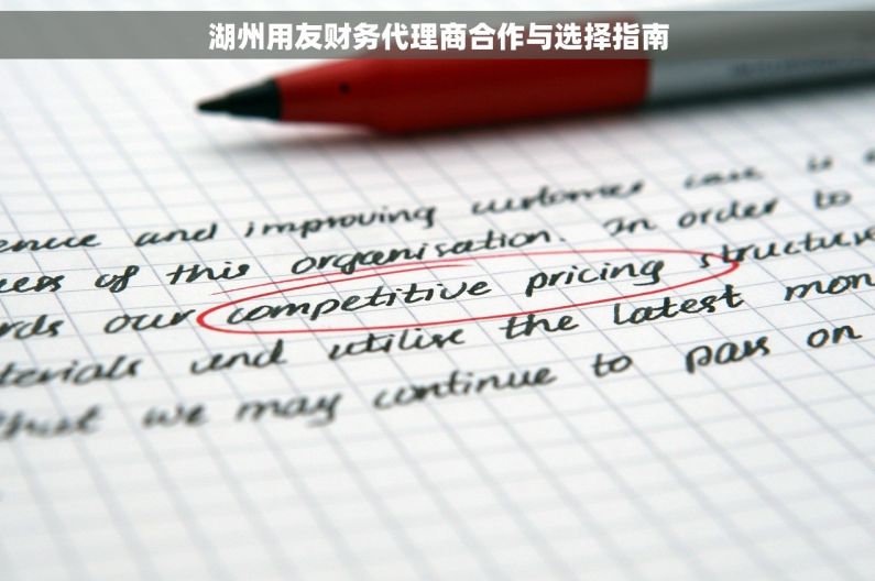 湖州用友财务代理商合作与选择指南