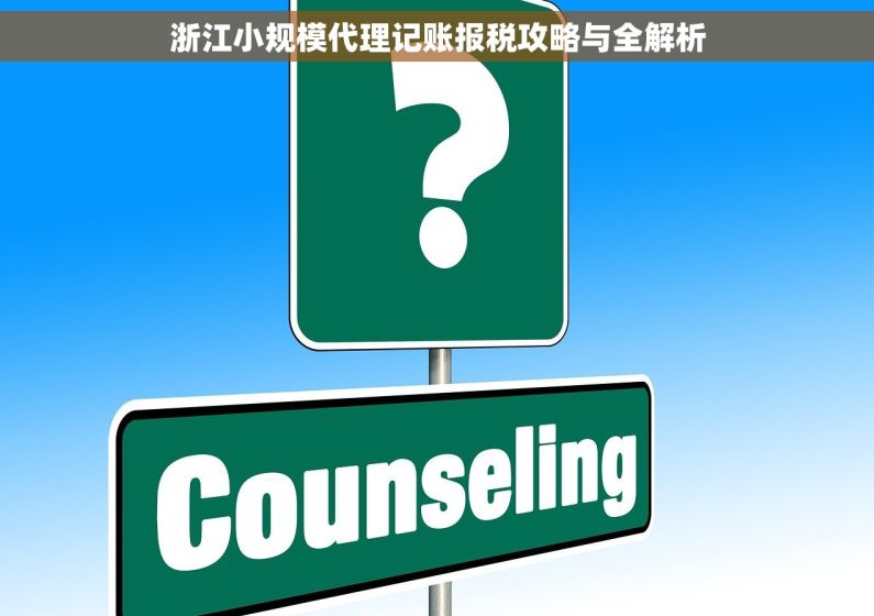 浙江小规模代理记账报税攻略与全解析