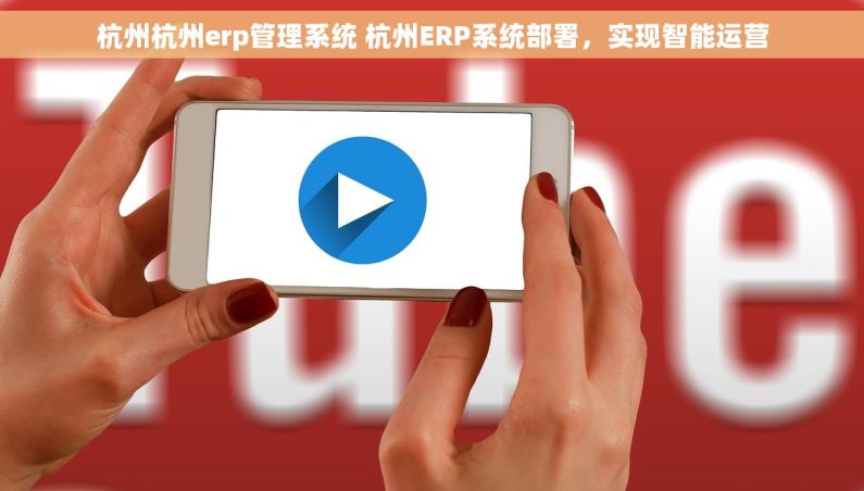 杭州杭州erp管理系统 杭州ERP系统部署，实现智能运营