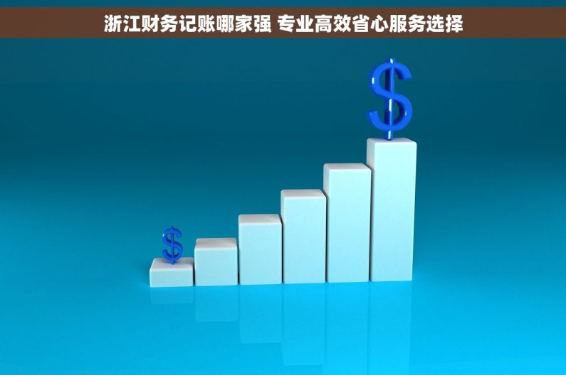 浙江财务记账哪家强 专业高效省心服务选择