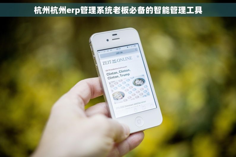 杭州杭州erp管理系统老板必备的智能管理工具