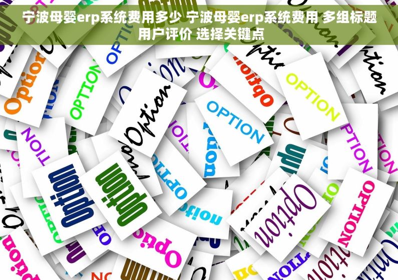 宁波母婴erp系统费用多少 宁波母婴erp系统费用 多组标题 用户评价 选择关键点