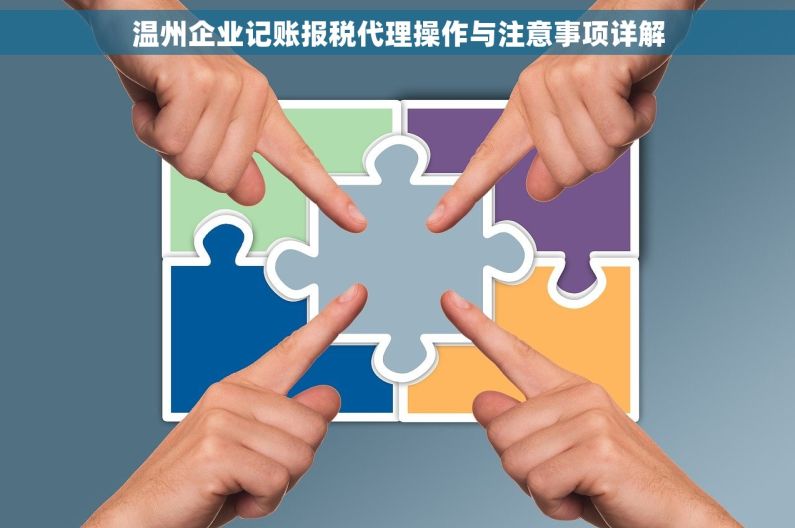 温州企业记账报税代理操作与注意事项详解