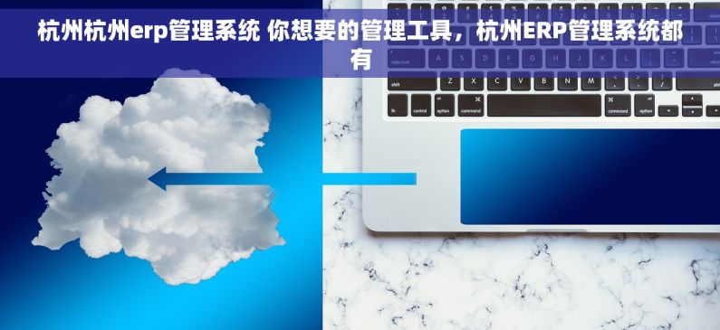 杭州杭州erp管理系统 你想要的管理工具，杭州ERP管理系统都有