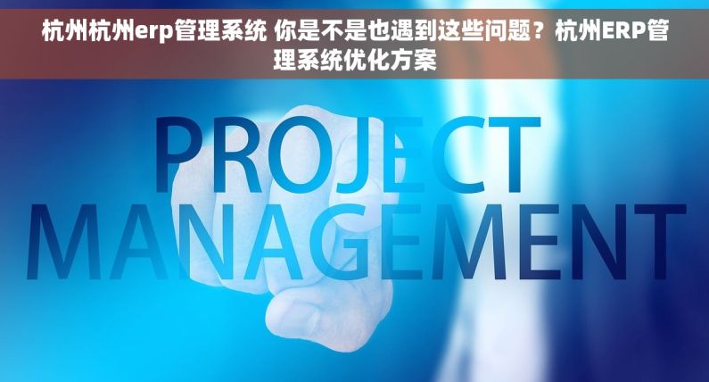 杭州杭州erp管理系统 你是不是也遇到这些问题？杭州ERP管理系统优化方案