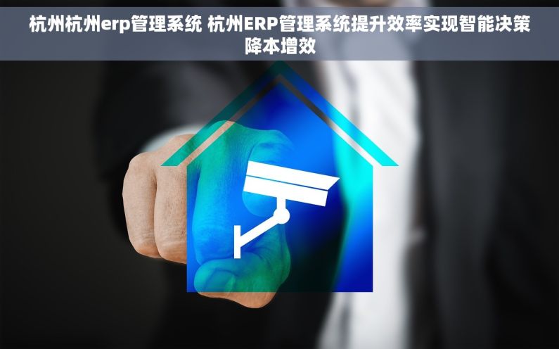 杭州杭州erp管理系统 杭州ERP管理系统提升效率实现智能决策降本增效