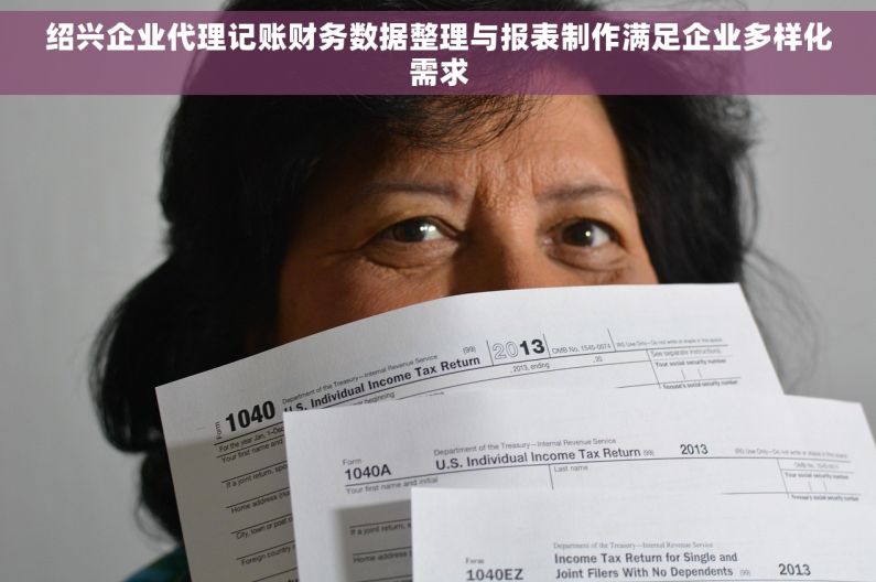 绍兴企业代理记账财务数据整理与报表制作满足企业多样化需求