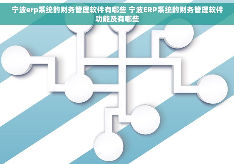 宁波erp系统的财务管理软件有哪些 宁波ERP系统的财务管理软件功能及有哪些