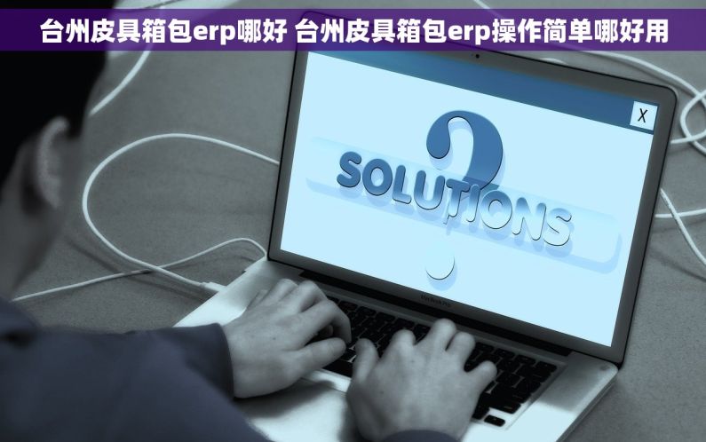 台州皮具箱包erp哪好 台州皮具箱包erp操作简单哪好用