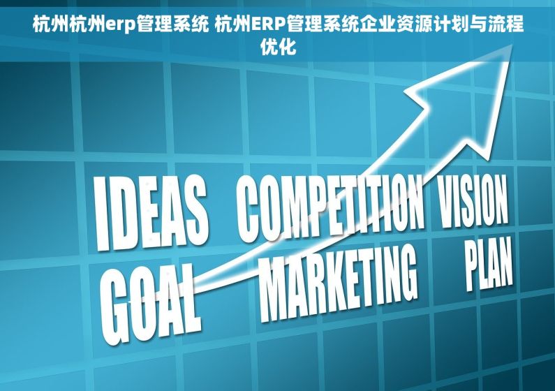 杭州杭州erp管理系统 杭州ERP管理系统企业资源计划与流程优化