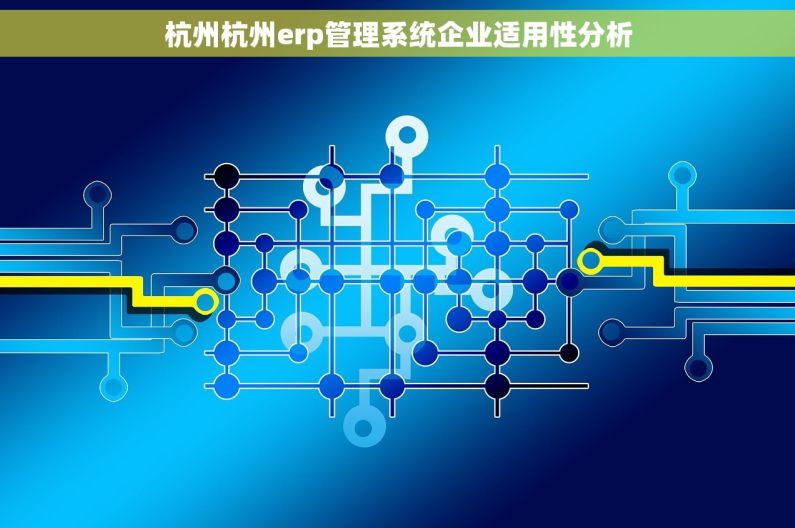 杭州杭州erp管理系统企业适用性分析