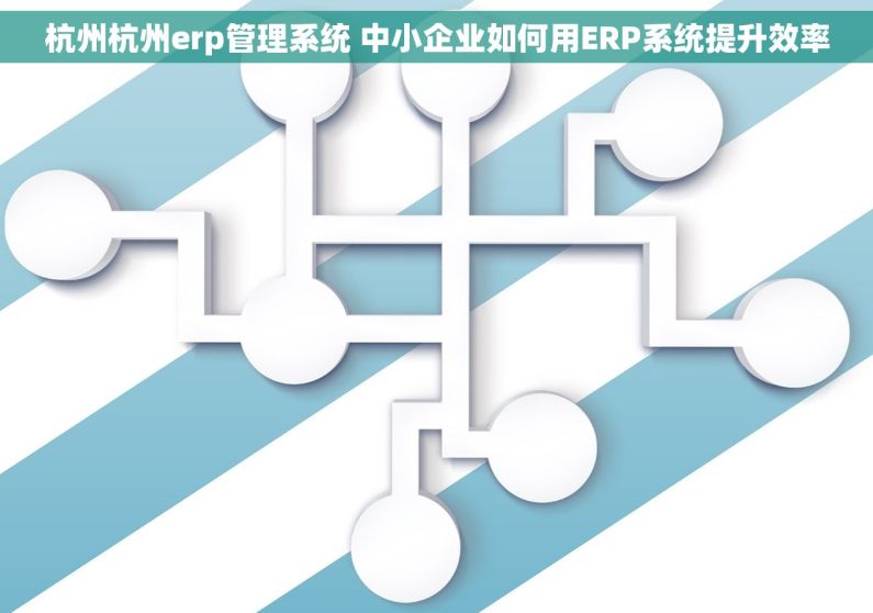 杭州杭州erp管理系统 中小企业如何用ERP系统提升效率