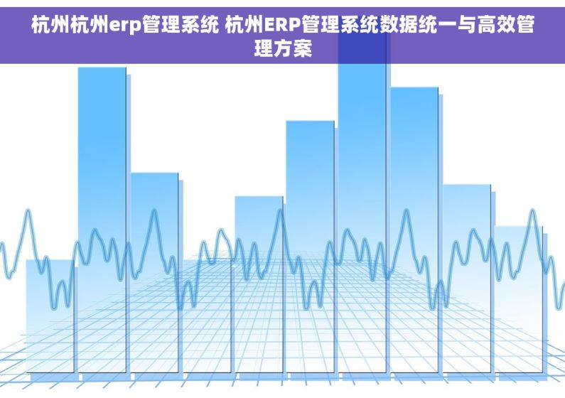 杭州杭州erp管理系统 杭州ERP管理系统数据统一与高效管理方案