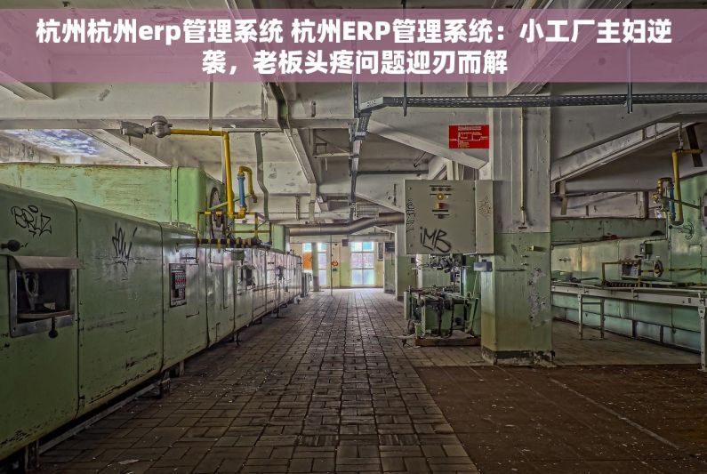 杭州杭州erp管理系统 杭州ERP管理系统：小工厂主妇逆袭，老板头疼问题迎刃而解