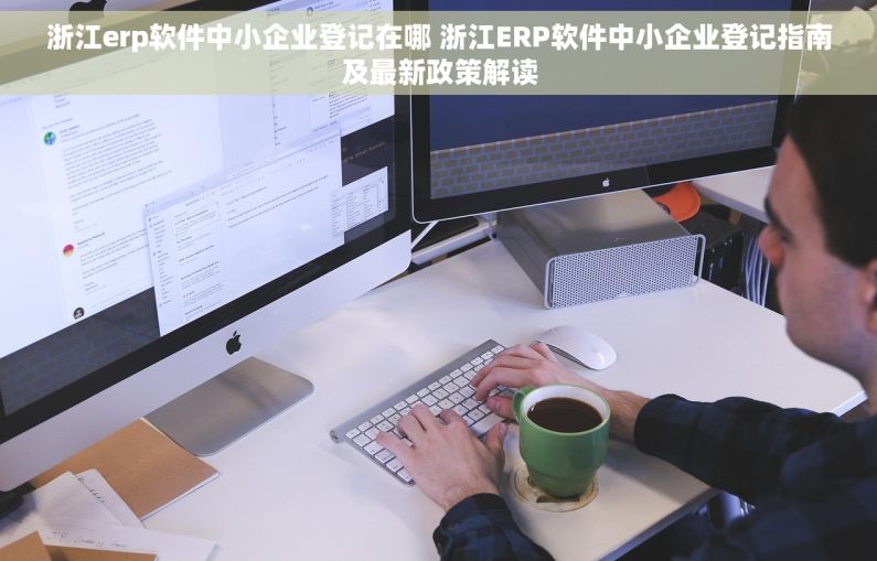 浙江erp软件中小企业登记在哪 浙江ERP软件中小企业登记指南及最新政策解读