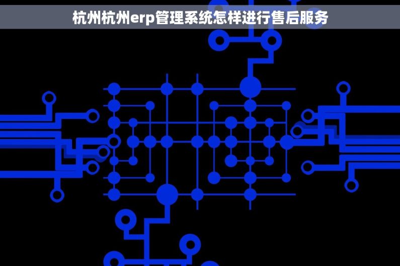 杭州杭州erp管理系统怎样进行售后服务