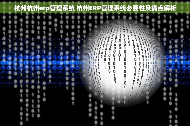杭州杭州erp管理系统 杭州ERP管理系统必要性及痛点解析