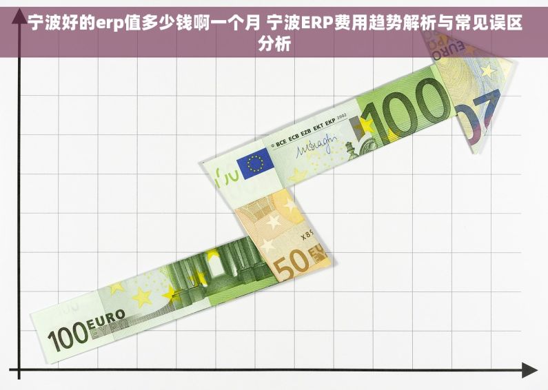 宁波好的erp值多少钱啊一个月 宁波ERP费用趋势解析与常见误区分析