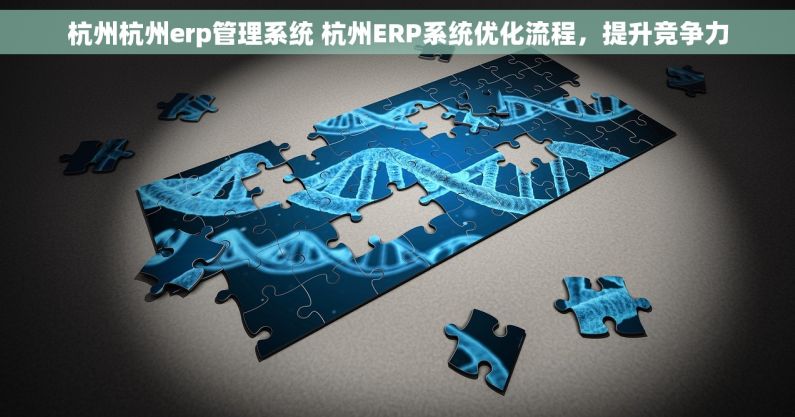 杭州杭州erp管理系统 杭州ERP系统优化流程，提升竞争力
