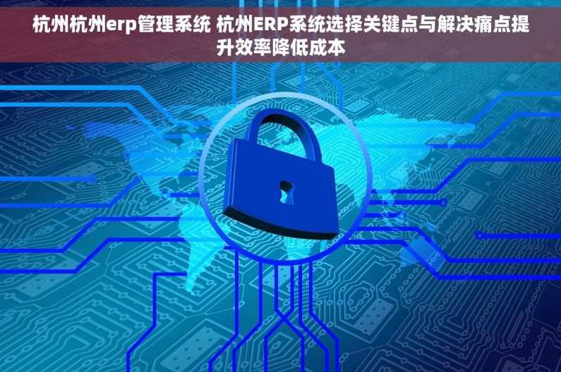杭州杭州erp管理系统 杭州ERP系统选择关键点与解决痛点提升效率降低成本